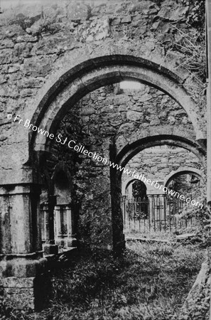 KILCONNELL FRIARY   IN THE CLOISTERS